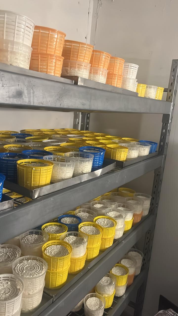 Estantes con moldes de queso en el cuarto frío de La Cerca